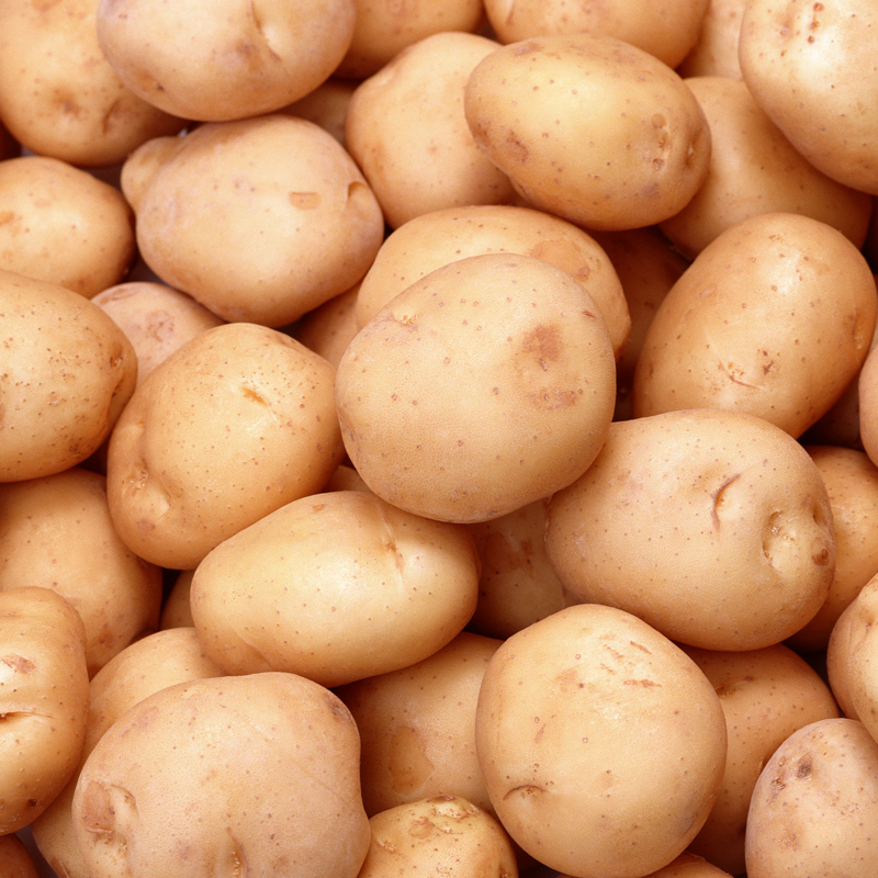 Hongji Agriculture